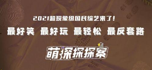 独家爆料视频模板大全,海量爆料视频模板大盘点,让你的视频更具吸引力! 第2张 独家爆料视频模板大全,海量爆料视频模板大盘点,让你的视频更具吸引力! 第2张