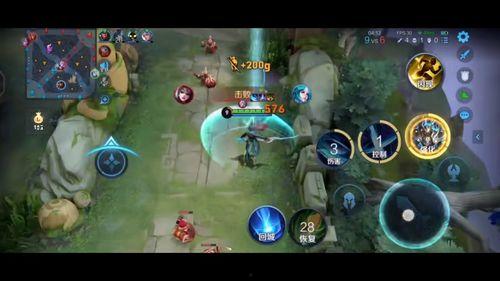 老鸟王者爆料视频大全,视频大全中的电竞高手传奇  第3张